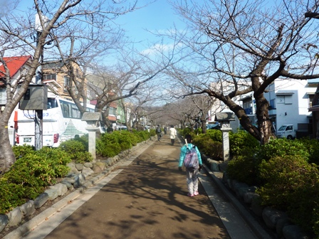 鎌倉祇園山ハイキング