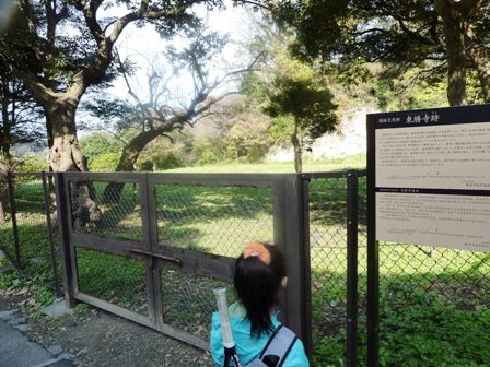 鎌倉祇園山ハイキング