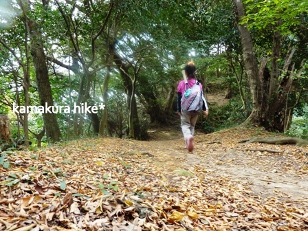鎌倉祇園山ハイキング