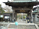 鎌倉祇園山ハイキング