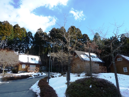 乙女森林公園キャンプ場