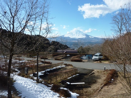 乙女森林公園キャンプ場