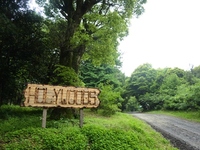 ホウリーウッズ久留里キャンプ村（千葉県）