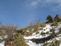 暖冬の冬山へ