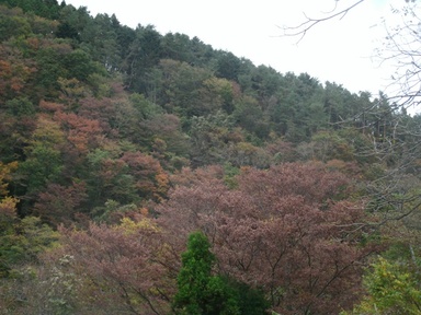 へなちょこ野営人類補完計画・彷徨漂泊編８