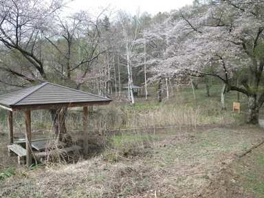 へなちょこ野営人類補完計画・疾風怒濤編１－前編