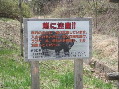 へなちょこ野営人類補完計画・疾風怒濤編１－前編