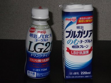 へなちょこ野営人類補完計画・冥府魔道編１１