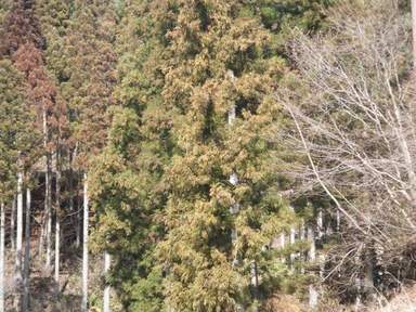 へなちょこ野営人類補完計画・冥府魔道編１２