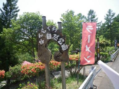 へなちょこ野営人類補完計画・冥府魔道編２０