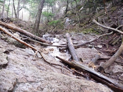 初夏の瑞牆山、09年5月9日(2)