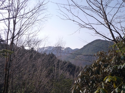 初夏の瑞牆山、09年5月9日(2)