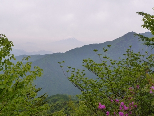 1月以来の甲武信岳、西沢渓谷から、09年6月3日(1)