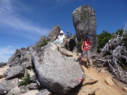 三家族の鳳凰山登山、稜線　09年8月19、20日(5)
