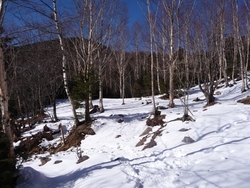 11月に続いて金峰山、09年12月22日(2)