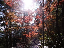 桂木場からの木曽駒ケ岳、2010年10月18日(2)