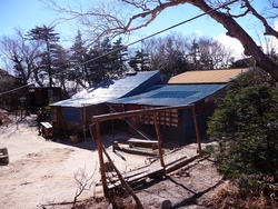 強風の鳳凰山に登りました、2010年11月10日(3)
