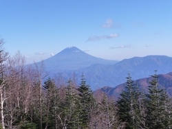 強風の鳳凰山に登りました、2010年11月10日(3)