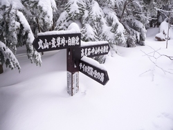 北八ケ岳の周遊、2010年2月18日(2)