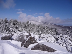 北八ケ岳の周遊、2010年2月18日(3)