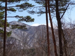 10日ぶりの山、蛾（ひる）ケ岳、2010年3月11日(2)