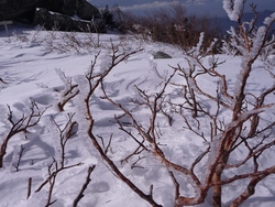 金峰山、山頂です、2010年3月1日(3)