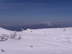 鳳凰三山薬師岳山頂まで、、2010年3月30日(4)