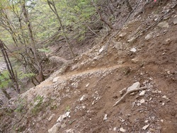 ロングな甲武信岳、破風山、雁坂嶺　2010/5/22　(4)