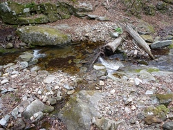 ロングな甲武信岳、破風山、雁坂嶺　2010/5/22　(4)
