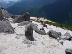 今年5度目の鳳凰山、薬師岳まで、2010年6月28日(3)