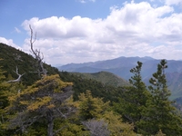 小川山に登りました、2010年6月2日(3)