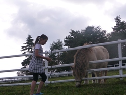 連休は、山ではなくて、、