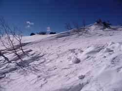 新年の鳳凰山、南御室小屋～薬師岳、2011年1月2日(3)