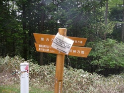 黒川山、鶏冠山、丸川峠をゆったり、2011年5月31日(2)