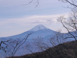 裏山も雪景色、2012年12月5日(1)