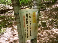 尾白川渓谷と日向山、新緑清冽　2013年5月17日(2) 2013/05/21 22:22:03