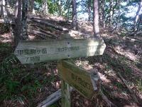目的地変更、甲斐駒ケ岳黒戸尾根、2013年7月19日(2) 2013/07/20 19:07:57