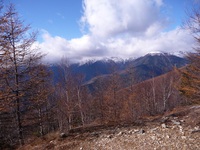 冬が来ました、鳳凰山 2013/11/12 21:48:29
