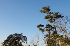2013/02/02_日川浜オートキャンプ場【後編】