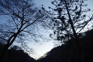 2013/02/10_青根キャンプ場