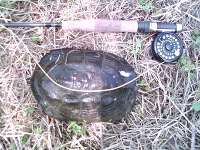 ４０分での釣果