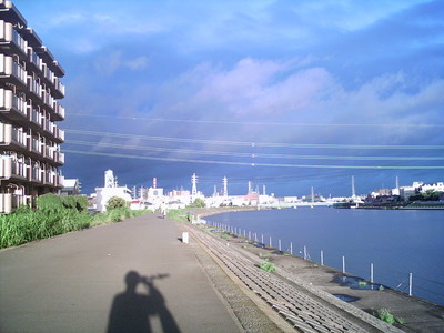 期待はずれの・・・