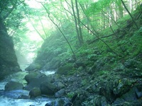 O川釣行と他の渓の偵察