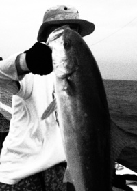 Team zero 2013/07/24 14:45:05