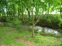 日光だいや川公園オートキャンプ場　Part.1