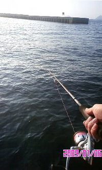 プチ初釣行…。 2009/01/06 20:24:11