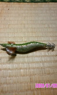 今日、調達してきました。 2009/01/09 20:18:18