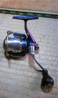 ついつい買っちゃいました。 2009/01/30 17:19:08