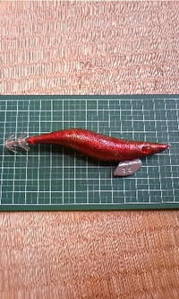 自作エギではないですが…。 2009/01/31 13:42:03