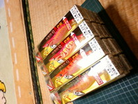 大人買いしてみました。 2009/03/30 18:26:05